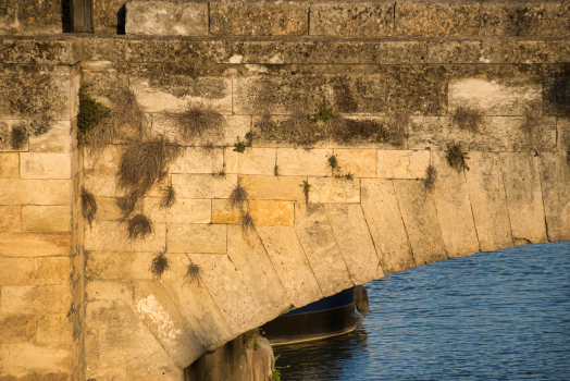 Pont Voltaire
