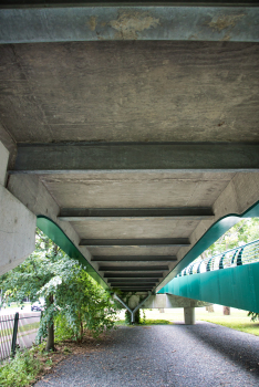 Memorial Drive Footbridge 