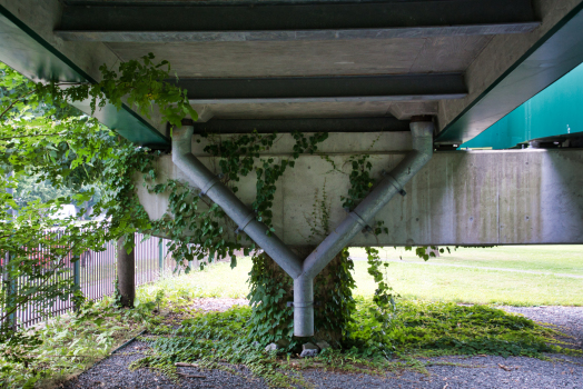 Memorial Drive Footbridge 