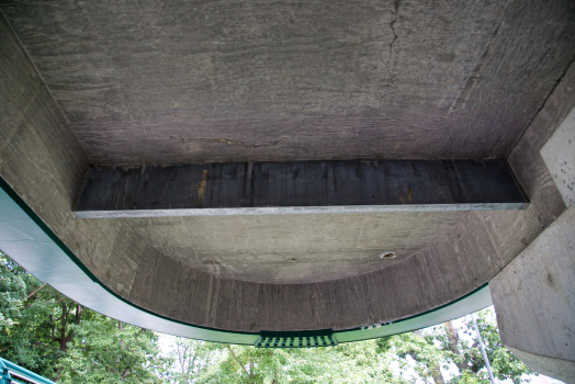 Memorial Drive Footbridge 