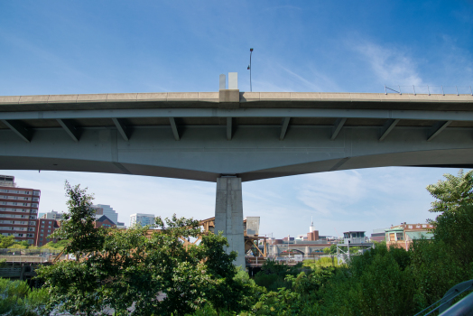 Leverett Circle Connector Bridge