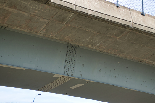 Leverett Circle Connector Bridge