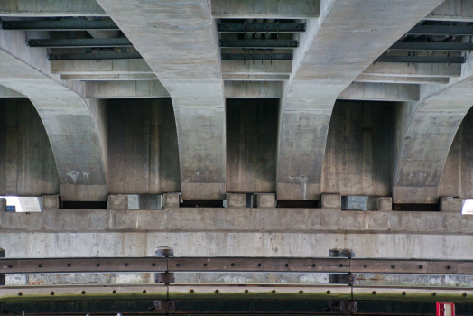 Evelyn Moakley Bridge