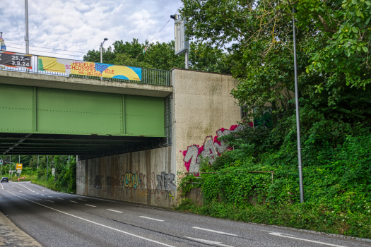 Ernst Walz Bridge