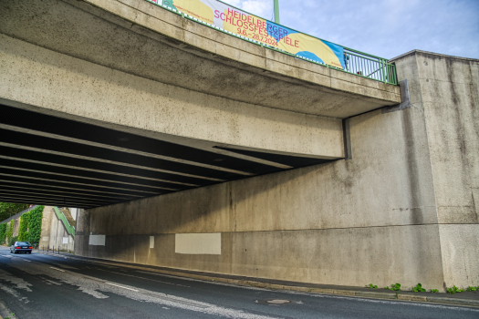 Pont Theodor-Heuss 