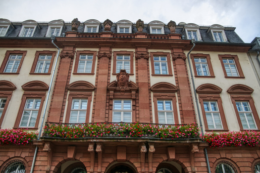 Hôtel de ville de Heidelberg