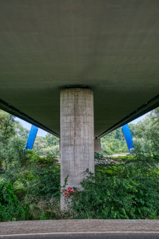 Pont de Spire 