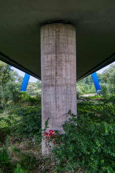 Rheinbrücke Speyer 