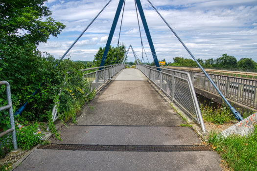 Gundelfingen Footbridge