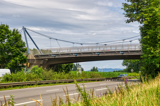 Passerelle de Gundelfingen