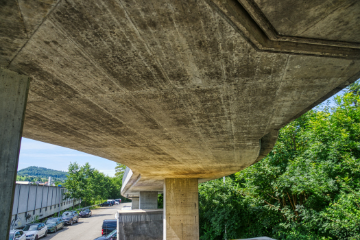 Geh- und Radwegbrücke Mühlematt