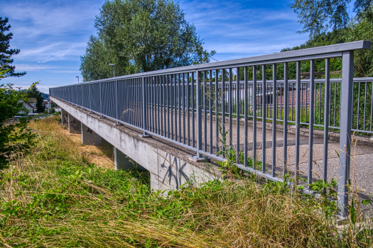 Geh- und Radwegbrücke Mühlematt