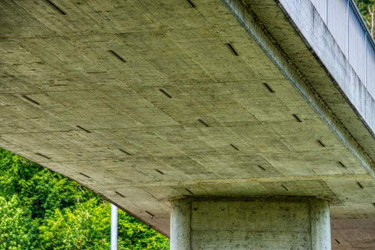 Geh- und Radwegbrücke Mühlematt