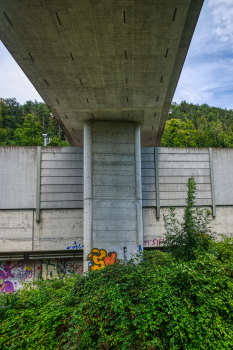 Geh- und Radwegbrücke Mühlematt