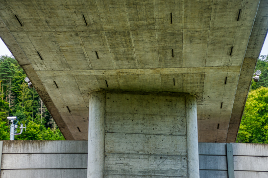 Geh- und Radwegbrücke Mühlematt