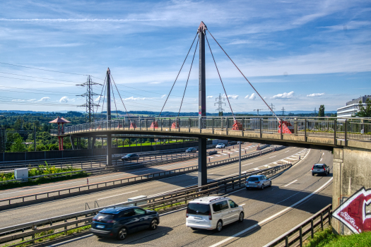 Ittigen Footbridge 