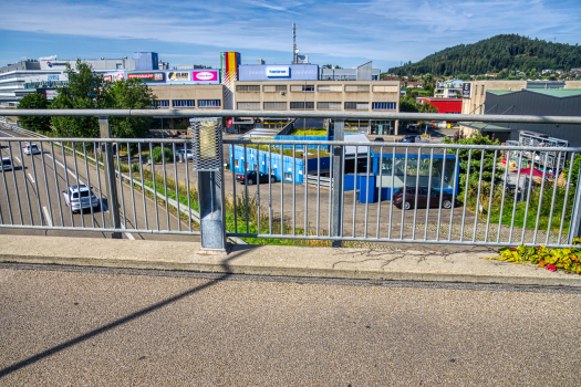 Ittigen Footbridge