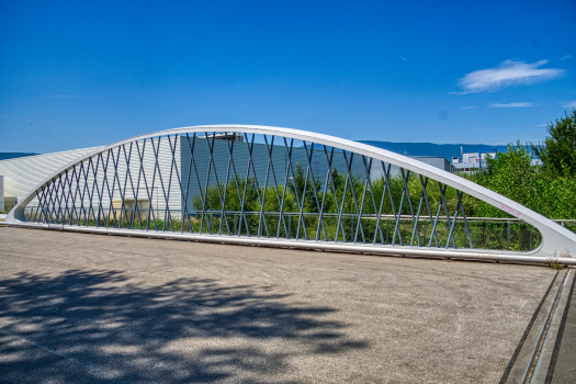 Pont sur la Leysse