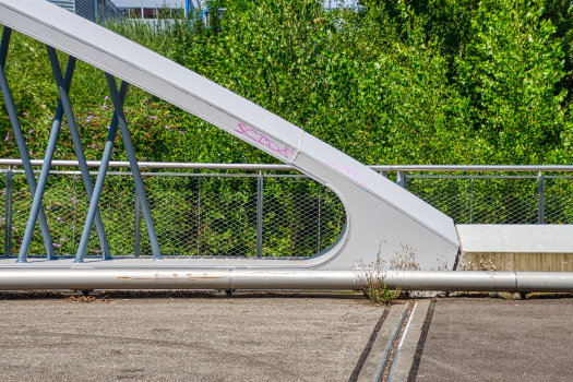 Pont sur la Leysse