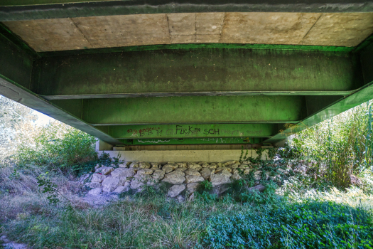 Rhonebrücke Saint-Gilles 