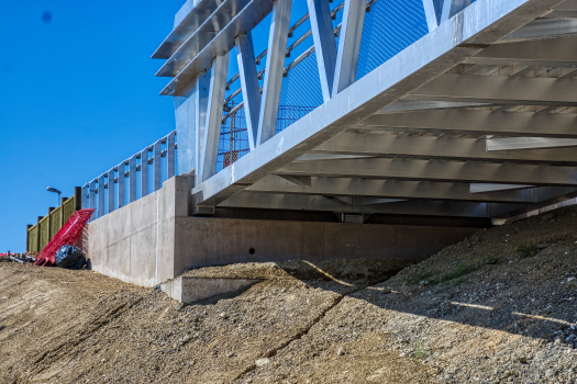 Carnon Footbridge 