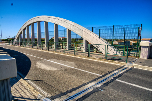 Pont de Carnon