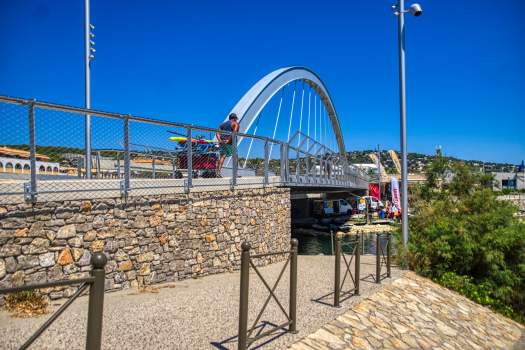 Neuburg Footbridge 