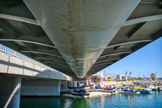 Passerelle de Neuburg