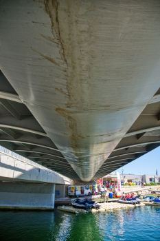 Neuburg Footbridge 