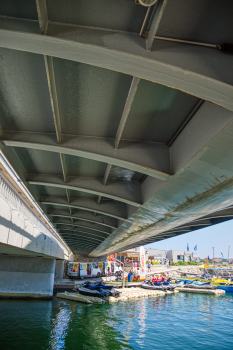 Passerelle de Neuburg