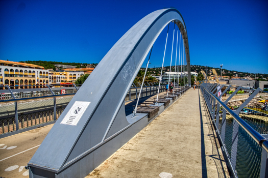 Neuburg Footbridge 