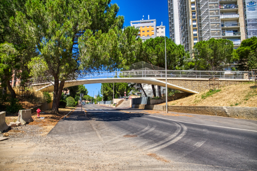 Georgette Bousquet Bridge 