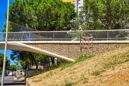 Passerelle Georgette-Bousquet