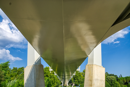 Anita Conti Footbridge 