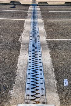 Pierre-de-Coubertin-Hochstraßenbrücke 