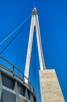 Robert Poujade Pedestrian Bridge