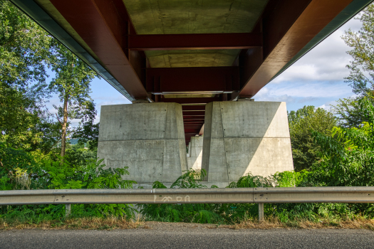 Pont sur le Tarn à Moissac