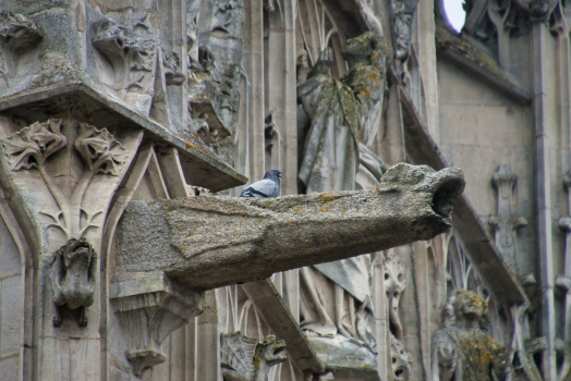 Basilique Notre-Dame d'Alençon