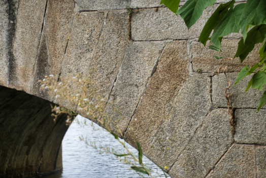 Pont-Neuf