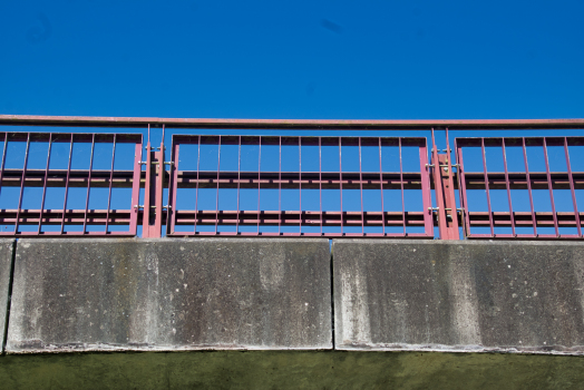 Pont des Masys