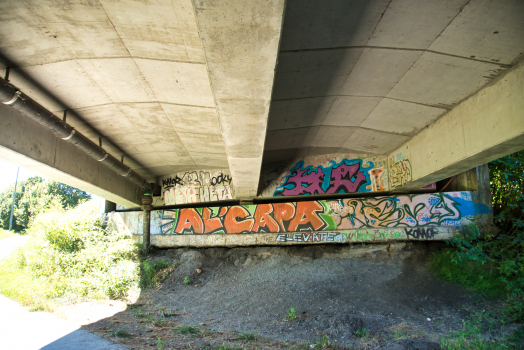 Pont des Masys