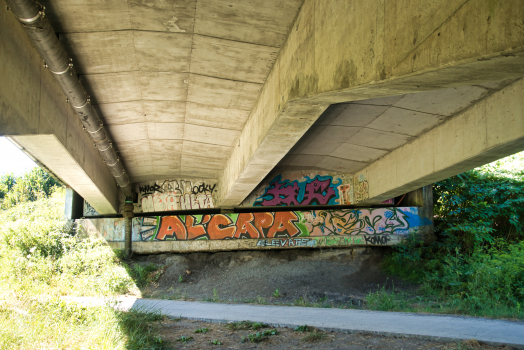 Pont des Masys