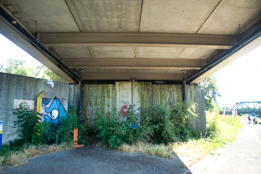 Pont-métro de Marchienne-au-Pont