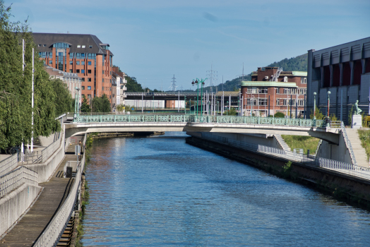 Pont Roi-Baudouin