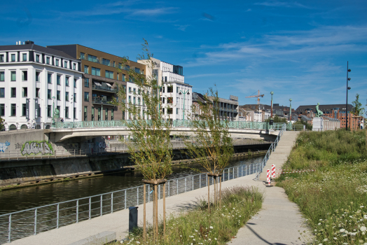 Pont Roi-Baudouin