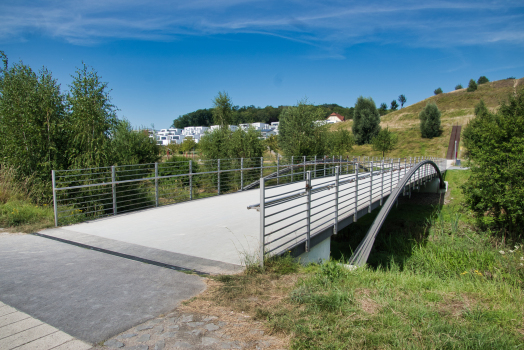 PHOENIX Lake Footbridge (East)