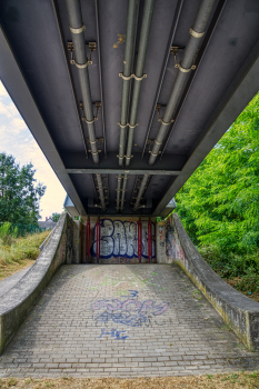 Flora Bridge 