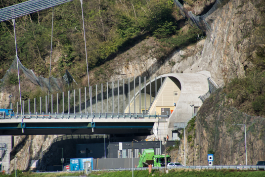 Danube Valley Bridge 