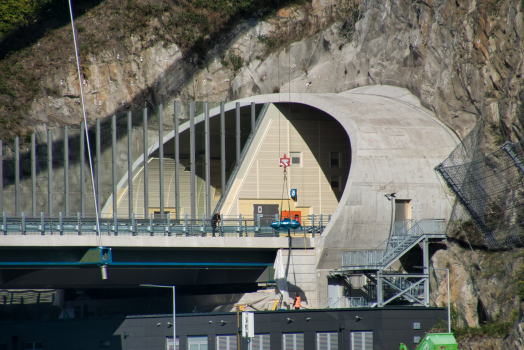 Danube Valley Bridge