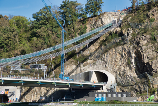 Danube Valley Bridge 